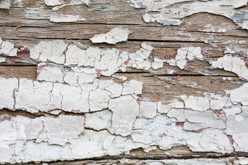 Grunge wood with peeling paint , great background or texture