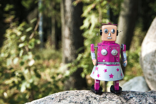 Girl robot in the forest.