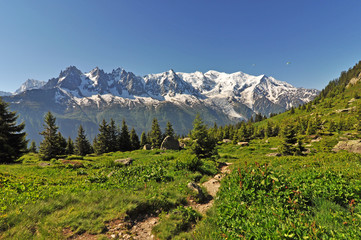 Alpine nature / The Alps are the highest and most extensive mountain range system that lies...