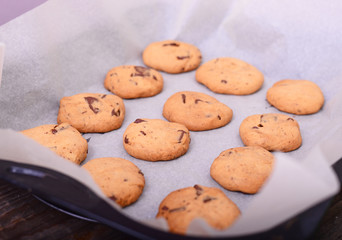 Freshly baked chocolate butter cookies on cooling rack.