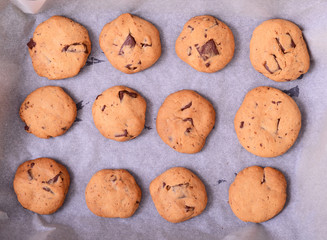 Freshly baked chocolate chip cookies on baking paper