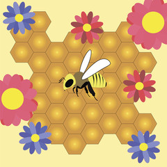 bee and honeycombs