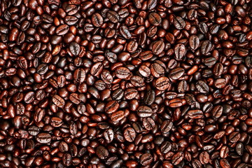 Coffee bean background in coffee shop.