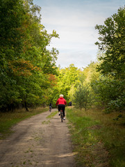 starsza osoba na rowerze w lesie - obrazy, fototapety, plakaty