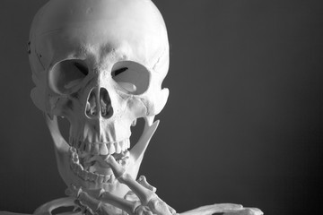 Scary Skeleton on black background
