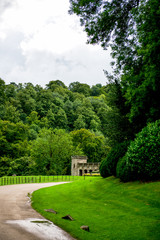 Green Meadows and Trees in Beautiful Ilam Hall  in Peak District