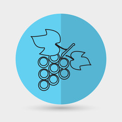 grapes icon