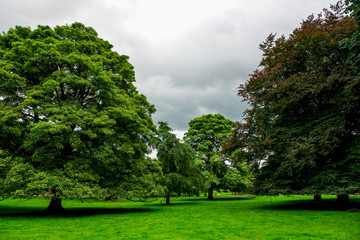 Green Meadows and Trees in Beautiful Ilam Hall  in Peak District