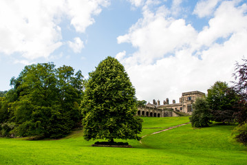 Green Meadows and Trees, Blue Sky and Fluffy Clouds