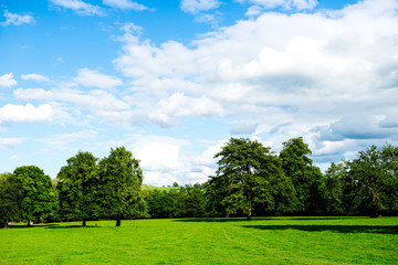 Green Meadows and Trees in Beautiful Ilam Hall  in Peak District