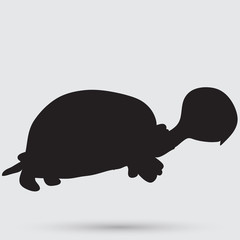 turtle icon