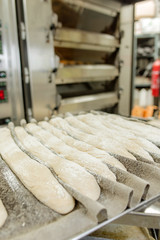 Baguettes ready to go in the oven
