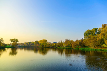 Autumn Landscape With Yellow Trees and Lake with Swimming Ducks at Sunset