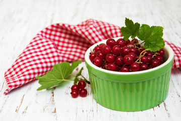 fresh red currant