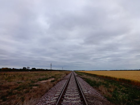 Horizonte y v&iacute;as del tren al lado del sembradio
