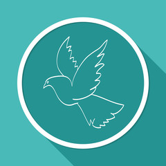 dove of peace