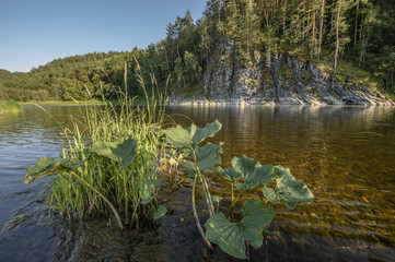Река Белая в горах Южного Урала.