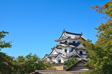 Fototapeta premium 彦根城天守閣