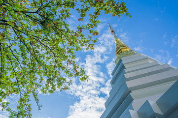 Pagoda in Wat Chedi Luang, Chiang Mai Thailand