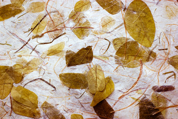 Autumn leaves - background