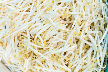 bean sprouts