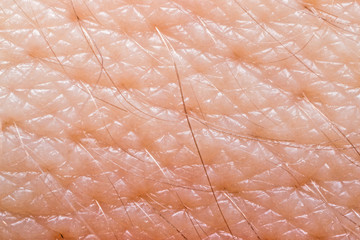 Fototapeta premium Human skin macro