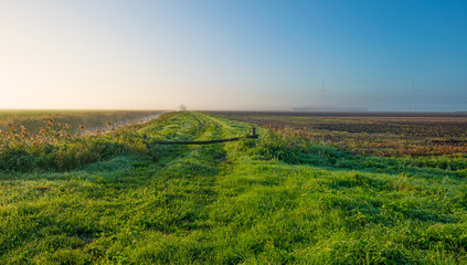 Tracks along a canal through a foggy sunny field