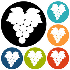 Grapes icon