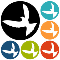 Dove of Peace illustration