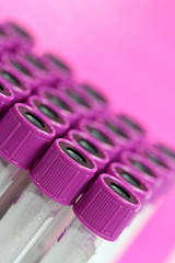 violette Blutr&ouml;hrchen