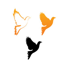Dove Bird