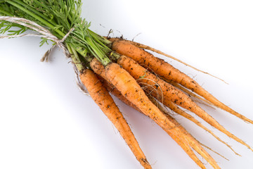 freshly picked carrots