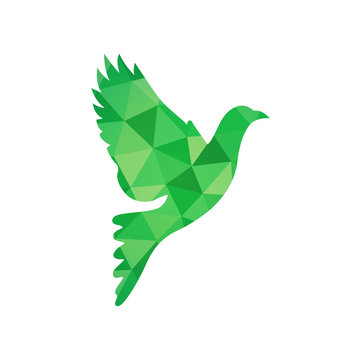 Green Dove Bird