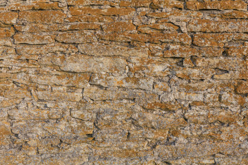 Old stone wall texture with moss