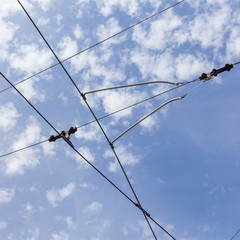 trolley trolleybus electricity cable lines