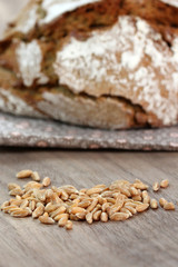 Laib Brot mit Getreidekörnern