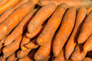 Pile of fresh carrots for sale at the farmers market in the summer.