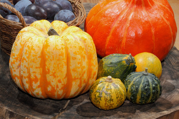 Herbstdekoration, Kürbis, Zierkürbis, Pflaumen, Korb