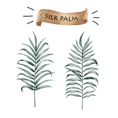 vintage silk palm watercolor with label trend fashion isolated o