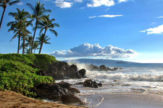 Tropical Hawaiian beach with palm trees, Maui, Hawaii, USA