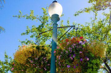 Lamp Post in public garden