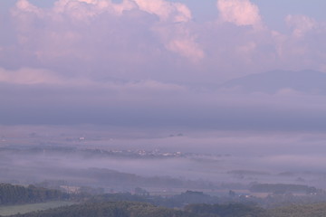 朝霧の風景