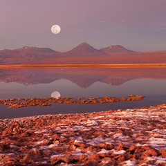 Tebenqueche lagoon, Licancabur volcano, Atacama desert, Chile