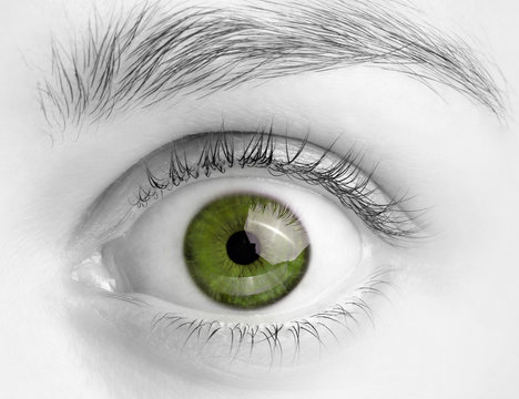 Macro image of wide open green eye, black and white photo