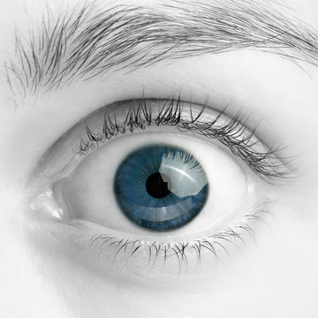 Macro image of wide open blue eye, black and white photo