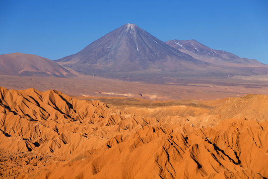 Catarpe, Licancabur volcano, Atacama desert, Chile