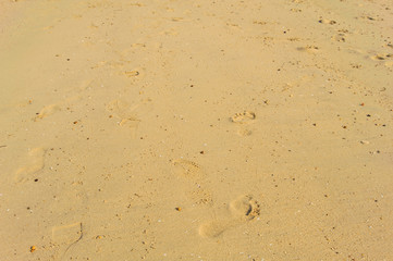 Foot step on sand