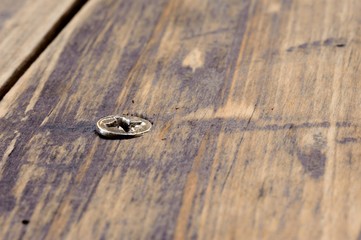 Screw in grunge wood