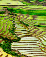 Rice fields on terraced of Mu Cang Chai, YenBai, Vietnam
