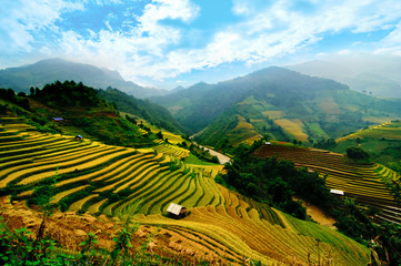 Fototapeta premium Rice fields on terraced of Mu Cang Chai, YenBai, Vietnam. Rice fields prepare the harvest at Northwest Vietnam.
